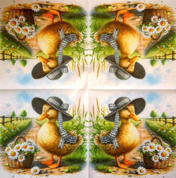 139 Ducks - 3-ply